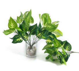 7 Head Green Colicus Leaves Bush