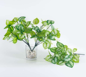 7 Head Watermelon Leaves Bush