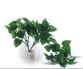 7 Head Ficus Green Leaves Bush