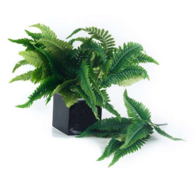 7 Head 14 Fern Leaves Bush