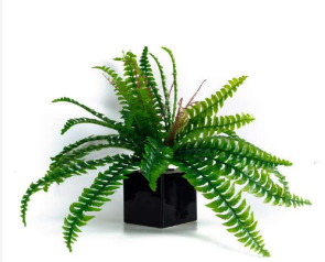 Natural Touch 24 Leaves Fern Bush