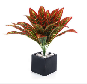 18 Leaves Red Green Dracaena Bush