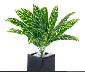 18 Leaves New Dracaena Bush