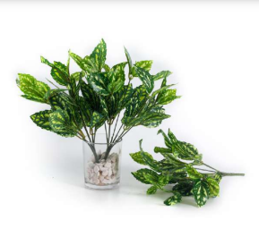 7 Head Tropical Aglaonema Leaves Bush