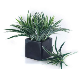28 Natural Touch Green Yucca Bush
