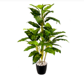 5 Real Touch Diffen Bachia Plant (Without Pot)