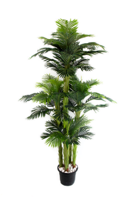 5 Head 60 Palm Leaves Plant
