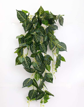 Real Touch Jumbo Variegated Ficus Hanging Creeper