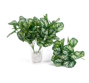 7 Head Watermelon Leaves Bush