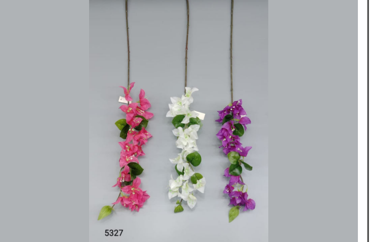 Single Baby Bougainvillea Stick.