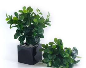 7 Head Leaves Big Schefflera Bunch