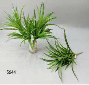 Jumbo Yucca Leaves Full Green Bush
