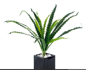 18 Cutting Long Leaves Bunch