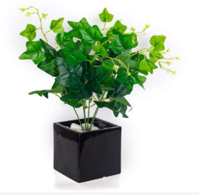 6 Head Jumbo Green Ivy Leaves Bush