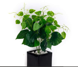 6 Head Jumbo Green Ficus Leaves Bush