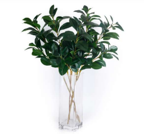 Eucalyptus Long Leaves Stick