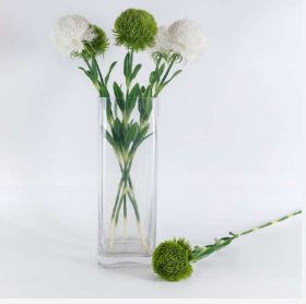 Soft Touch Plastic Ball Stick