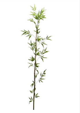 2.5m Single Bamboo