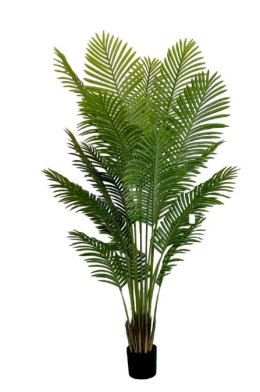1.8m 18 Leaves Areca Palm Plant in Pot
