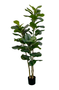 1.5m 70 Leaves Fiddle Leaf Plant in Pot