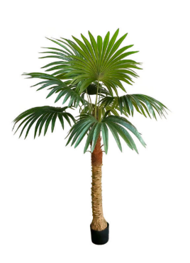artificial coconut palm 1.5m 9 Leaves Fan Coconut Palm Plant in Pot – Florifera by Terrascape