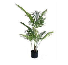 122 cm Areca Palm Plant in Pot