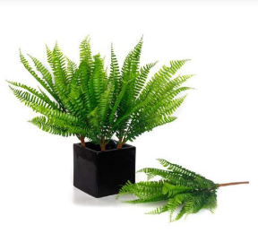 New Premium Rubber Ferns Bush