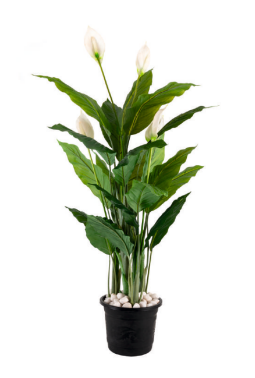Real Touch Spathiphyllum Plant (Without Pot)