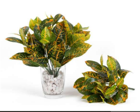 7 Head Croton Leaves Bush