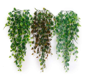 Plastic Tiny Monstera Leaf Hanging Creeper