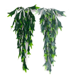 Jumbo Leaf Plastic Hanging Creeper
