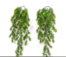 Moss Leaf Hanging Creeper