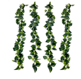Natural Touch Money Plant Veil