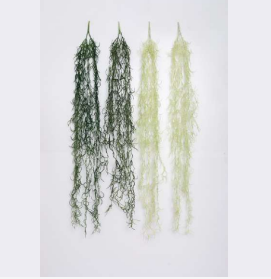 Twisted Roots Hanging Creeper