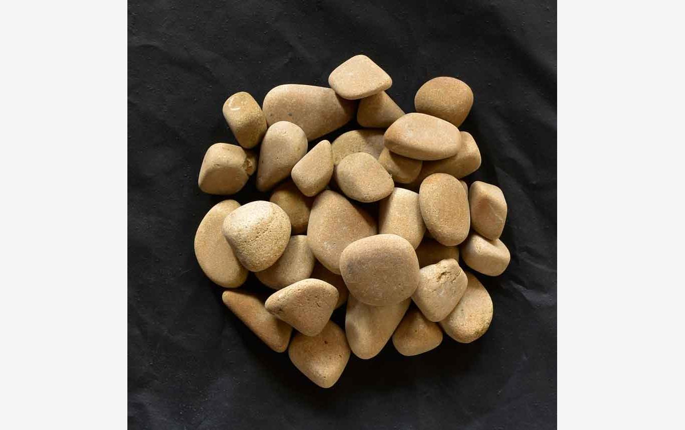 Camel Pebbles