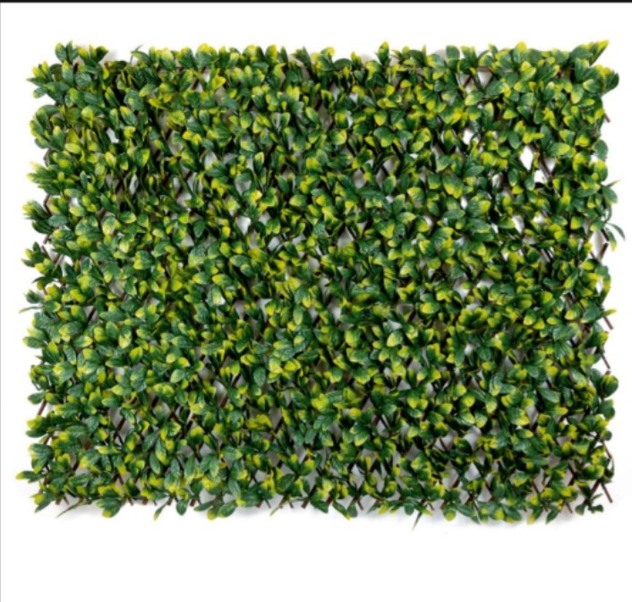 Vertical Garden 3600 S : 92250