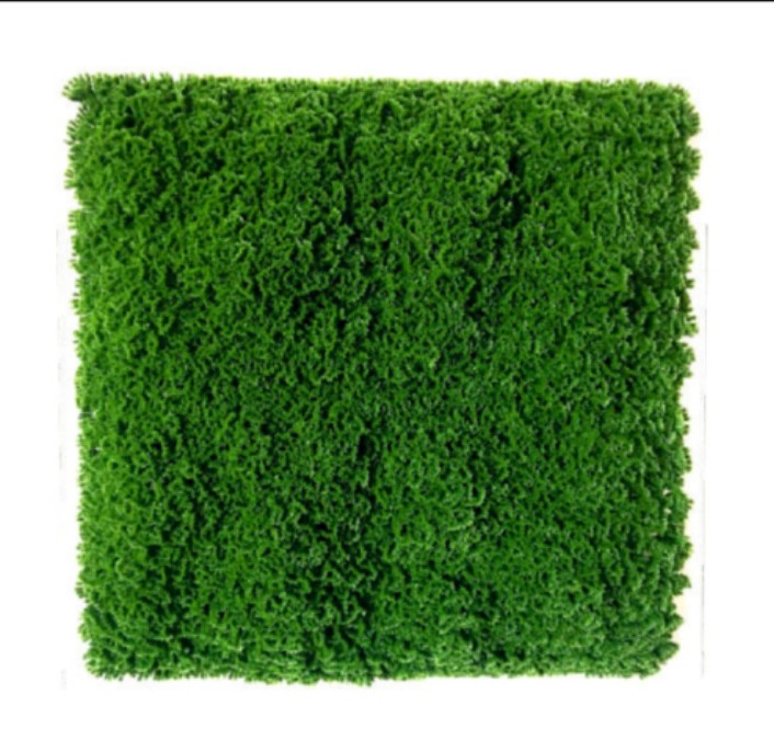 Greenwall 3600 CCC : 9700