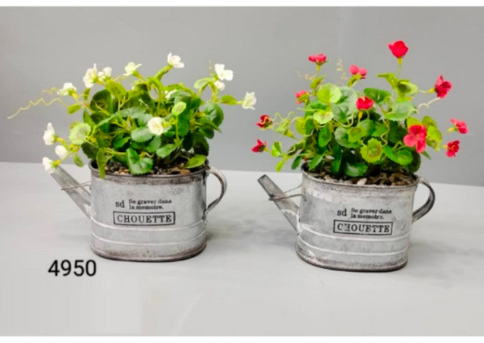 Tiny Flower In Metal
Kettle Pot