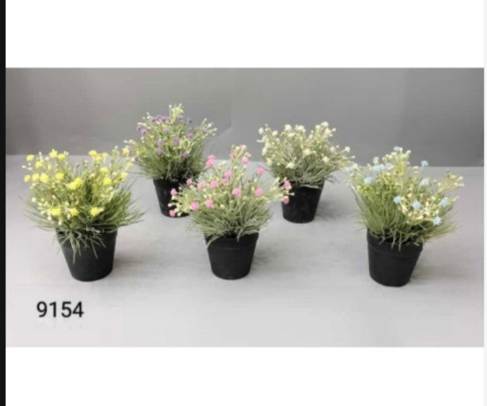 Plastic Tiny Baby Breadth Bonsai
In Black Pot