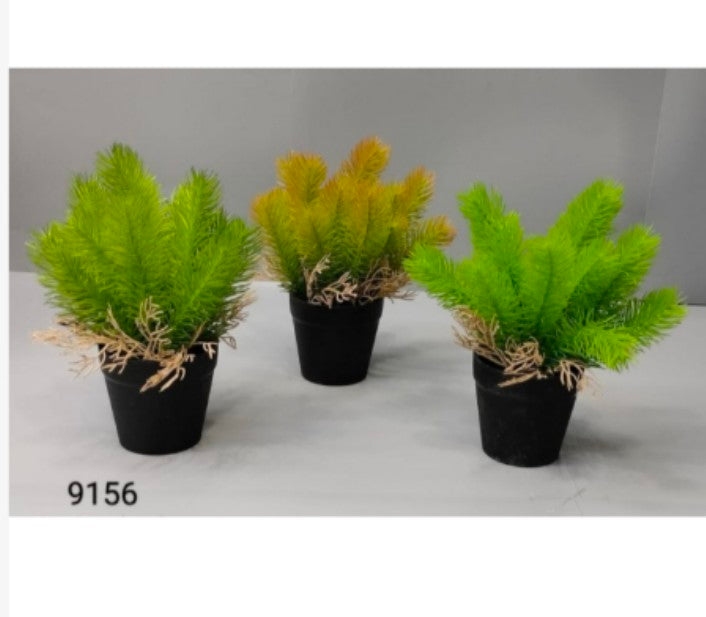 Plastic Pine Grass Bonsai
In Black Pot
