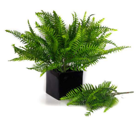 Plastic Boston Ferns Bunch
