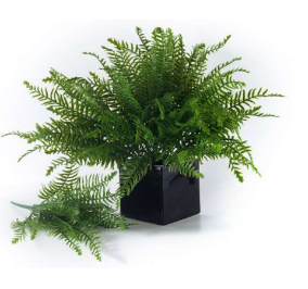 7 Head Plastic New Rubber Ferns Bunch