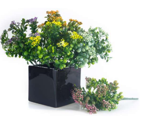 7 Head Leaves &amp; Fruit Bunch