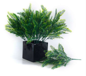 7 Head Ferns Bunch