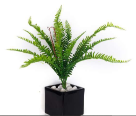Jumbo Plastic Ferns Bunch