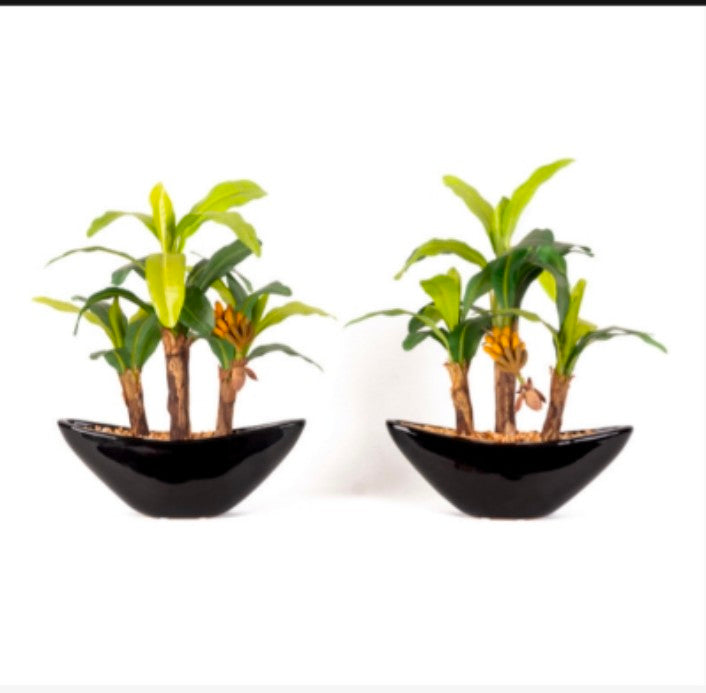 Banana in Ceramic Pot