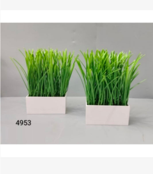 Long Grass In Grey Tray Pot